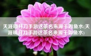 天涯明月刀手游这茶名来源于如鱼水(天涯明月刀手游这茶名来源于如鱼水)