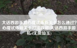 大话西游手游心魔试炼新关卡怎么通过？心魔试炼新关卡打法攻略(大话西游手游私sf无限仙玉)
