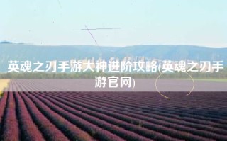英魂之刃手游大神进阶攻略(英魂之刃手游官网)