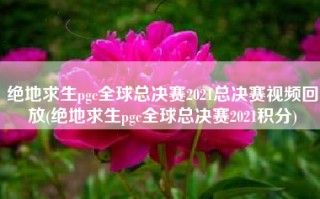绝地求生pgc全球总决赛2021总决赛视频回放(绝地求生pgc全球总决赛2021积分)