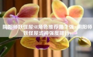 阴阳师妖怪屋SR角色推荐哪个强 (阴阳师妖怪屋式神强度排行)