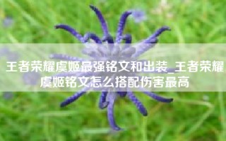 王者荣耀虞姬最强铭文和出装_王者荣耀虞姬铭文怎么搭配伤害最高
