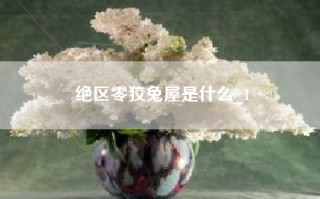 绝区零狡兔屋是什么_1