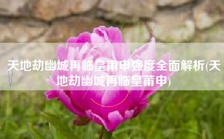 天地劫幽城再临皇甫申强度全面解析(天地劫幽城再临皇莆申)