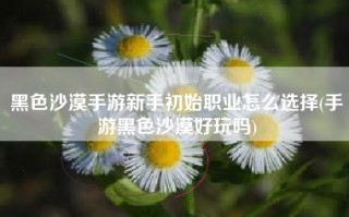 黑色沙漠手游新手初始职业怎么选择(手游黑色沙漠好玩吗)