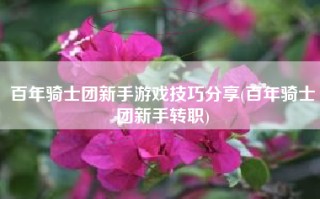 百年骑士团新手游戏技巧分享(百年骑士团新手转职)