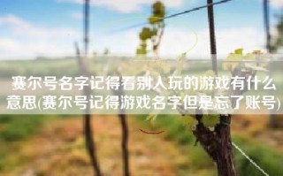 赛尔号名字记得看别人玩的游戏有什么意思(赛尔号记得游戏名字但是忘了账号)