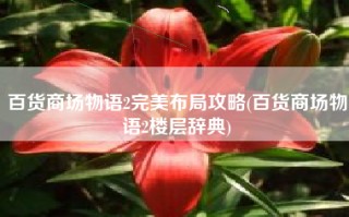 百货商场物语2完美布局攻略(百货商场物语2楼层辞典)