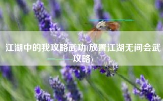 江湖中的我攻略武功(放置江湖无间会武攻略)