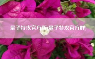 量子特攻官方版(量子特攻官方群)