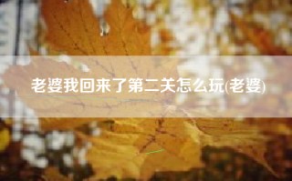 老婆我回来了第二关怎么玩(老婆)
