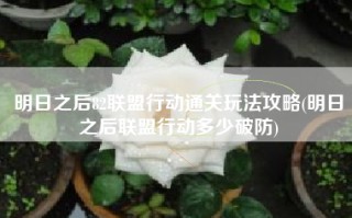 明日之后82联盟行动通关玩法攻略(明日之后联盟行动多少破防)