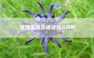 纸境英雄普通谜题24攻略