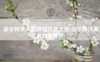 皮尔特沃夫的微缩符文之地(皮尔特沃夫果然是鬼区)
