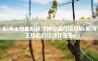 航海王热血航线伙伴突破方法攻略(航海王热血航线伙伴重生)