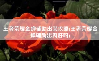 王者荣耀金蝉辅助出装攻略(王者荣耀金蝉辅助出肉好吗)
