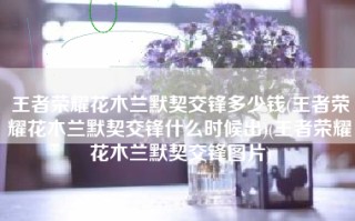 王者荣耀花木兰默契交锋多少钱(王者荣耀花木兰默契交锋什么时候出)(王者荣耀花木兰默契交锋图片)