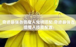 奇迹最强者猎魔人宠物搭配(奇迹最强者猎魔人技能配置)
