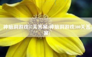 神脑洞游戏37关答案(神脑洞游戏300关答案)