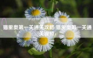 猫里奥第一关通关攻略(猫里奥第一关通关视频)