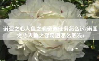 诺亚之心人鱼之恋奇遇任务怎么过(诺亚之心人鱼之恋奇遇怎么触发)