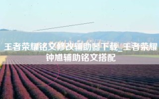 王者荣耀铭文修改辅助器下载_王者荣耀钟馗辅助铭文搭配