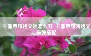 王者荣耀铭文锁怎么开_王者荣耀凯铭文最强搭配