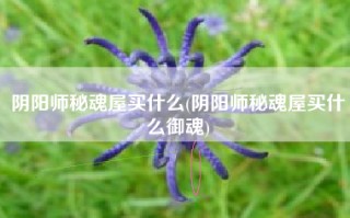 阴阳师秘魂屋买什么(阴阳师秘魂屋买什么御魂)