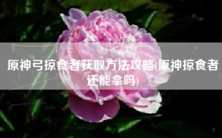 原神弓掠食者获取方法攻略(原神掠食者还能拿吗)