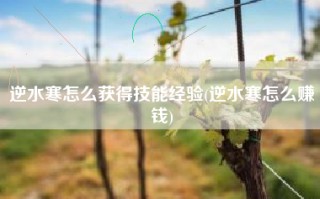 逆水寒怎么获得技能经验(逆水寒怎么赚钱)