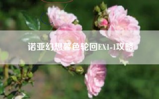 诺亚幻想暮色轮回EX1-1攻略