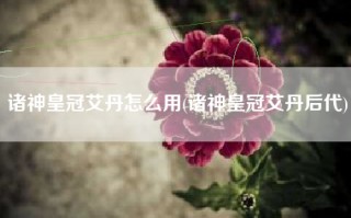 诸神皇冠艾丹怎么用(诸神皇冠艾丹后代)