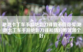 跑跑卡丁车手游绝影刀锋值不值得买(跑跑卡丁车手游绝影刀锋和猎豹敞篷哪个好)