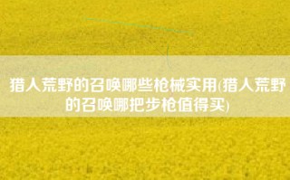 猎人荒野的召唤哪些枪械实用(猎人荒野的召唤哪把步枪值得买)