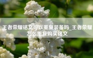 王者荣耀铭文可以重复装备吗_王者荣耀怎么重复购买铭文