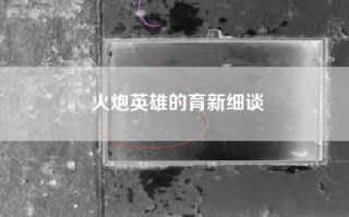 火炮英雄的育新细谈