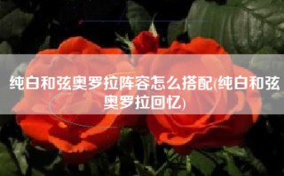纯白和弦奥罗拉阵容怎么搭配(纯白和弦奥罗拉回忆)