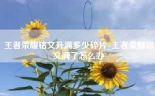 王者荣耀铭文升满多少碎片_王者荣耀铭文满了怎么办