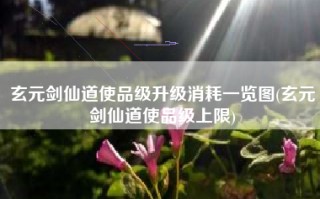 玄元剑仙道使品级升级消耗一览图(玄元剑仙道使品级上限)