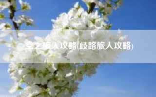 空之旅人攻略(歧路旅人攻略)