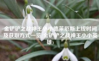 金铲铲之战神王小小德莱厄斯上线时间及获取方式一览(金铲铲之战神王小小英雄)
