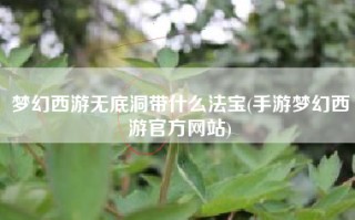 梦幻西游无底洞带什么法宝(手游梦幻西游官方网站)