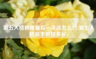 第五人格教程最后一关该怎么过(第五人格新手教程多长)