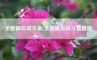 王者模拟战斗鱼(王者模拟战斗鱼直播)