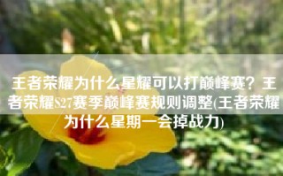 王者荣耀为什么星耀可以打巅峰赛？王者荣耀S27赛季巅峰赛规则调整(王者荣耀为什么星期一会掉战力)