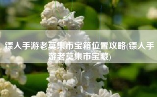 镖人手游老莫集市宝箱位置攻略(镖人手游老莫集市宝藏)