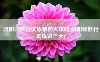 阴阳师妖行试炼第四天攻略(阴阳师妖行试炼第三天)
