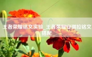 王者荣耀铭文实验_王者荣耀安琪拉铭文搭配