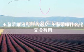 王者荣耀马克什么铭文_王者荣耀什么铭文没有用