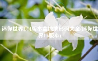 迷你世界1.6.1版本盆地地形码大全(迷你世界1.6版本)